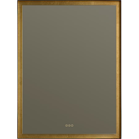 Quorum International Dorato 36"W x 48"H Rectangular Flat Steel Framed Wall Mounted Bathroom Mirror with LED Lighting Gold Leaf
