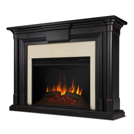 Real Flame-8030E-Alternate Angle