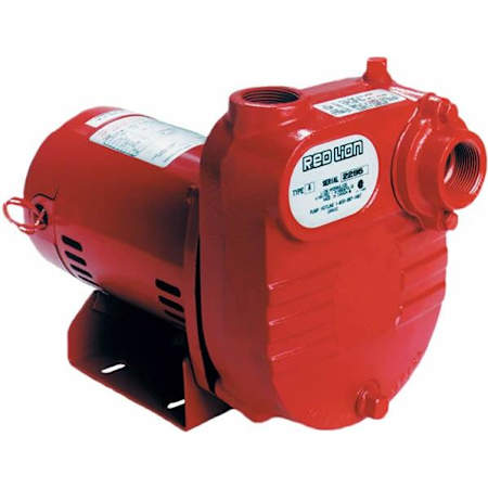Red Lion 45 GPM 1/2 HP Cast Iron Surface Effluent Pump N/A