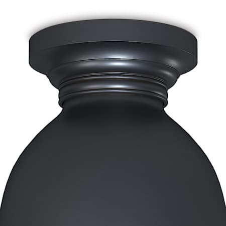 Alternate Image