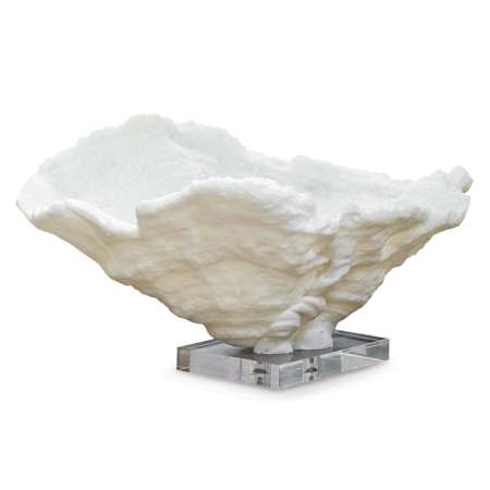 Regina Andrew Coral 14.5" Wide Reef Bowl Large White