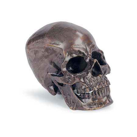 Regina Andrew Metal 5" Wide Skull Bronze