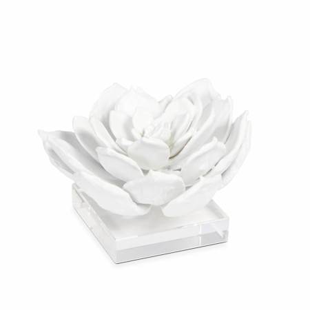 Regina Andrew Succulent 7.5" Wide Resin Sculpture White