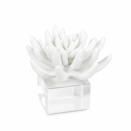 Regina Andrew Succulent 5.5" Wide Resin Sculpture White