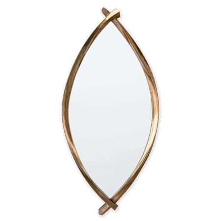 Regina Andrew Arbre 23"W x 50"H Specialty Flat Resin Framed Accent Mirror Antique Gold Leaf