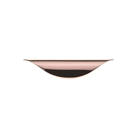 Alternate Image