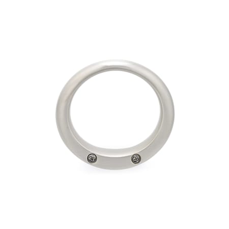 Richelieu-RH1303011195-Brushed Nickel Alternate View