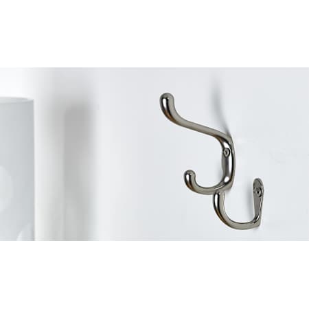 Richelieu-T60621184-Matte Nickel Alternate View