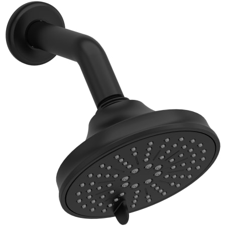 Riobel 2 GPM Multi Function Rain Shower Head Black
