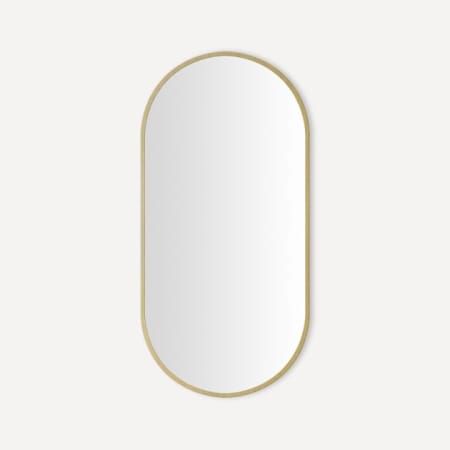 Robern Craft Series 20" W x 40" H Traditional Oval Metal Framed Bathroom Wall Mirror Brass