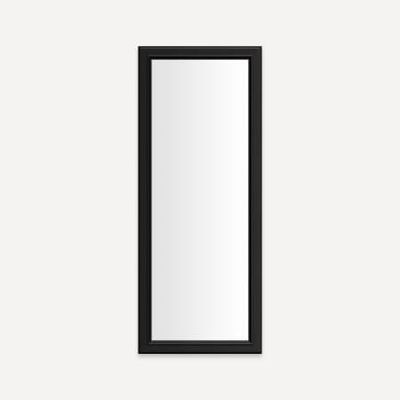 Robern Main Line 15-1/8" W x 39-1/2" H Traditional Rectangular Framed Bathroom Wall Mirror Brushed Black