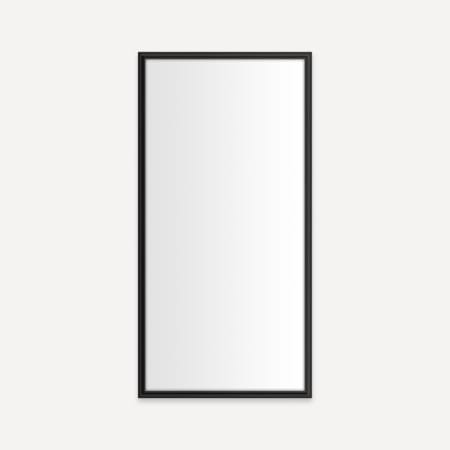 Robern Main Line 19-1/8" W x 39-1/2" H Traditional Rectangular Framed Bathroom Wall Mirror Brushed Black