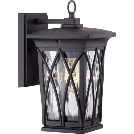 Roseto Oregon 1 Light 11" Tall Outdoor Wall Sconce Mystic Black