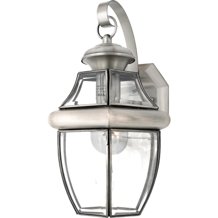 Roseto Gaines 1 Light 14" Tall Outdoor Wall Sconce with Clear Glass Pewter