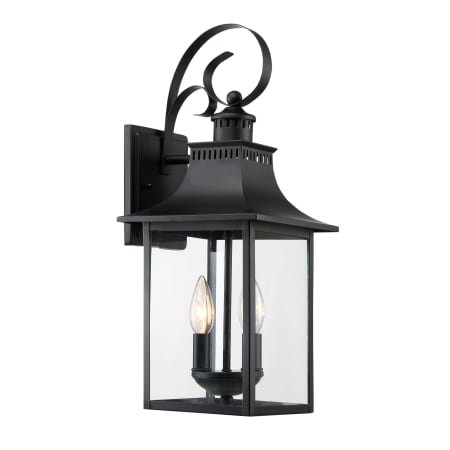 Roseto Coffey 2 Light 19" High Outdoor Wall Sconce with Clear Glass Shade Mystic Black