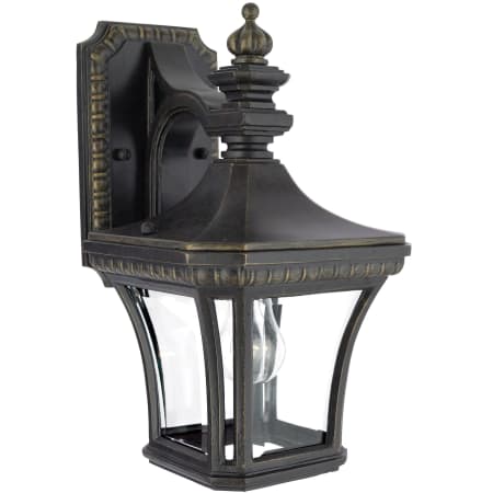 Roseto Custer 1 Light 13" Tall Outdoor Wall Sconce with Clear Glass Imperial Bronze