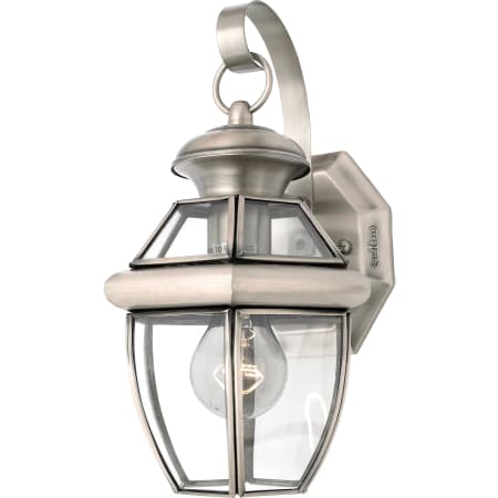 Roseto Gaines 1 Light 12" Tall Outdoor Wall Sconce with Clear Glass Pewter