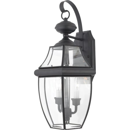 Roseto Gaines 2 Light 20" Tall Outdoor Wall Sconce with Clear Glass Mystic Black