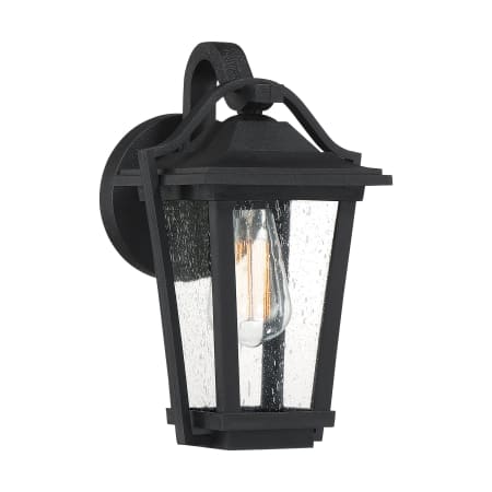 Roseto Dakota Single Light 12" Tall Outdoor Wall Sconce Earth Black