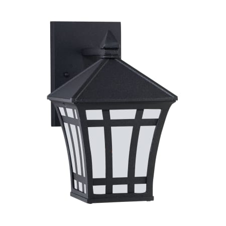 Roseto Wayne Single Light 10" Tall Outdoor Wall Sconce with Etched Glass Shade Black