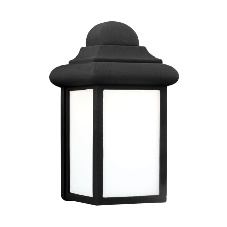 Roseto Kankakee Single Light 9" Tall Outdoor Wall Sconce Black