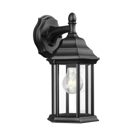 Roseto Hopedale Single Light 13" Tall Outdoor Wall Sconce with Clear Glass Panels Black
