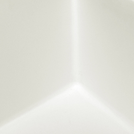 Alternate Image