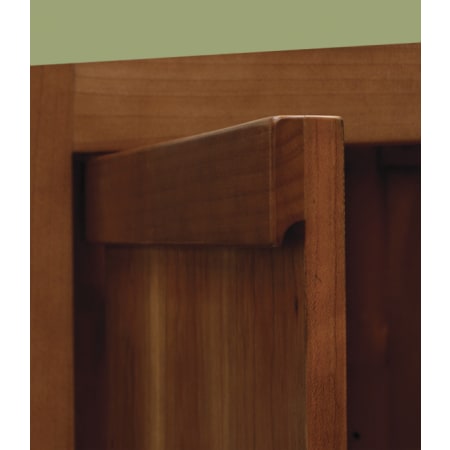 Cabinet Door Open