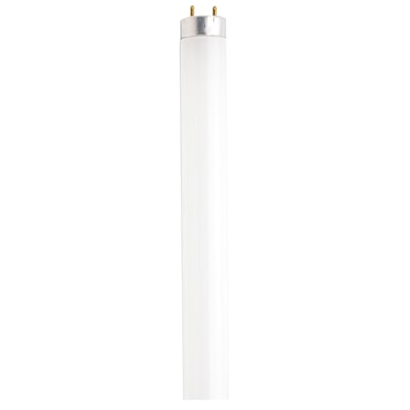 Satco Lighting Single 25 Watt 36" Wide T8 Bi Pin Fluorescent Bulb - 5,900 Lumens and 3000K Frosted