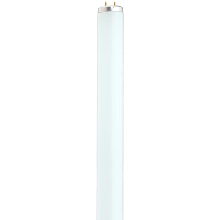 Satco Lighting Single 20 Watt 24" Wide T12 Bi Pin Fluorescent Bulb Frosted