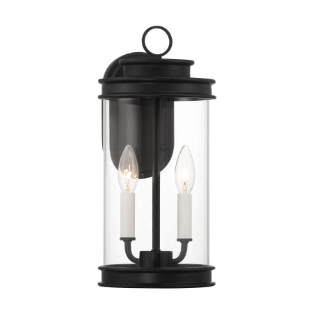 Savoy House Englewood 2 Light 15" Tall Outdoor Wall Sconce Matte Black
