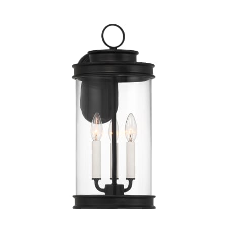 Savoy House Englewood 3 Light 19" Tall Outdoor Wall Sconce Matte Black