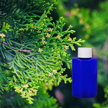 Scentbridge 480 ML Balsam and Cedar Bard Oil N/A
