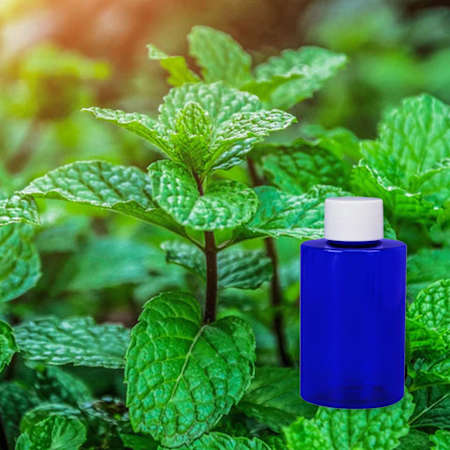 Scentbridge 480 ML Garden Mint Bard Oil N/A