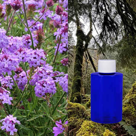 Scentbridge 480 ML Verbena and Oakmoss Bard Oil N/A