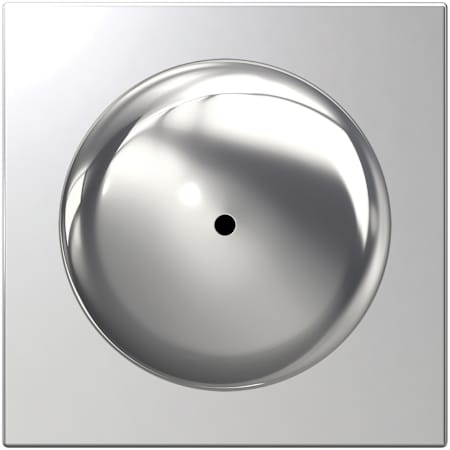 Alternate Image