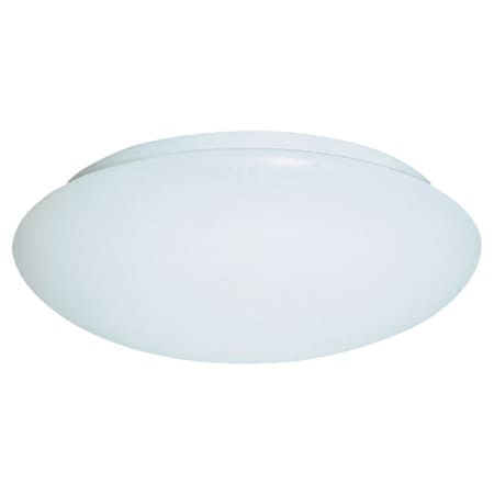 Shown in White