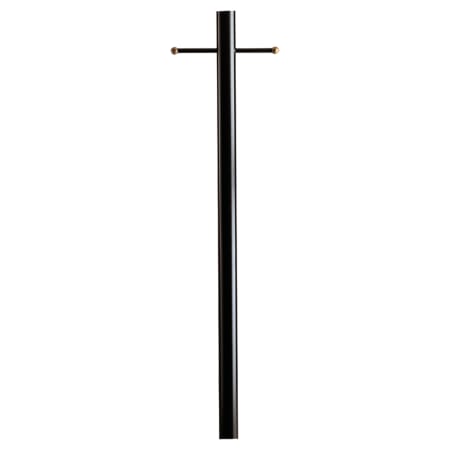 Shown in Black