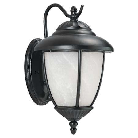 Shown in Black