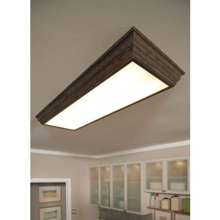 Sea Gull Lighting-59136LE-View the spectacular Sea Gull Lighting Drop Lens Fluorescent collection