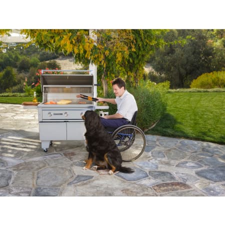 Sedona by Lynx-L600ADA LP-Lifestyle 2