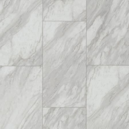 Shaw Paragon Tile Plus 12" x 24" Smooth Vinyl Flooring - Sold by Carton Oyster