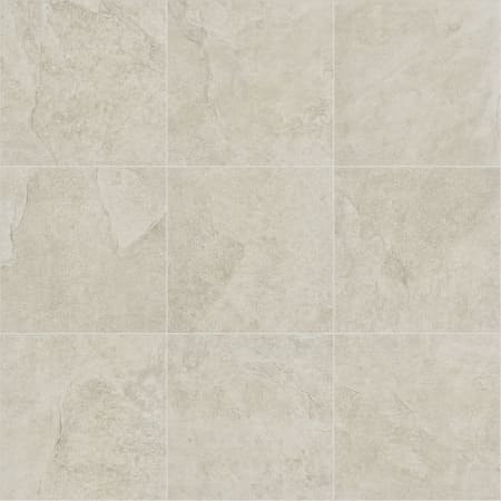 Shaw Sample only of 224TS Beige