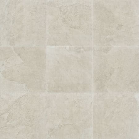 Shaw Sample only of 225TS Beige