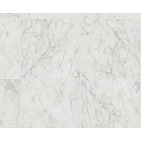 Shaw Sample Only of 500TS Carrara Abisso