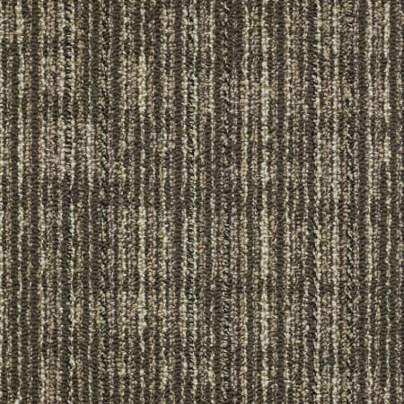 Shaw Sample Only of 54458 Barley