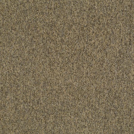 Shaw Sample Only of 54594 Abundance