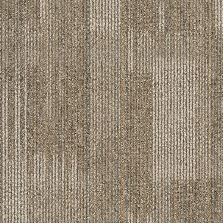 Shaw Sample Only of 54842 Astute