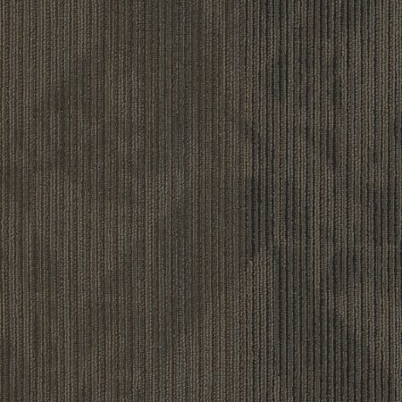 Shaw Sample Only of 54904 Coverage