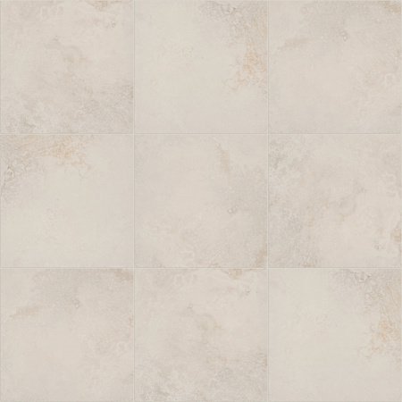 Shaw Sample Only of 594TS Cream